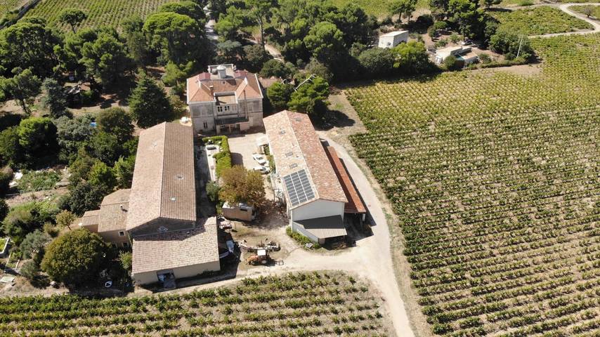 Gîte für 5 Personen, mit Terrasse und Garten in Frontignan - 2