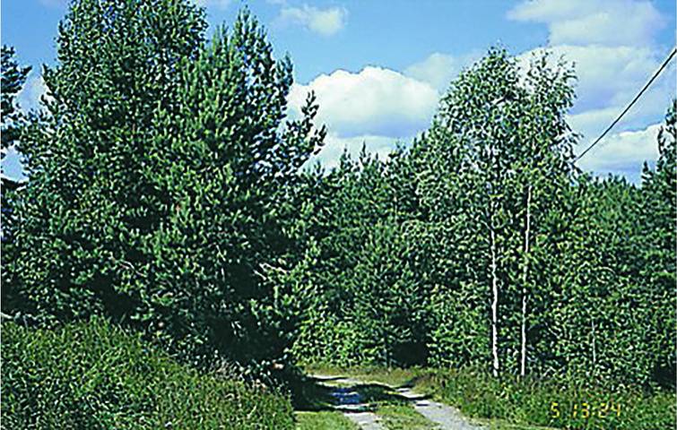 Ferienhaus für 6 Personen, mit Terrasse und Sauna in Oskarshamns und Umgebung - 2