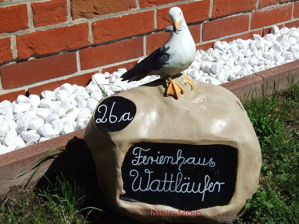 Ferienhaus Wattläufer in Norden, Norden und Umgebung