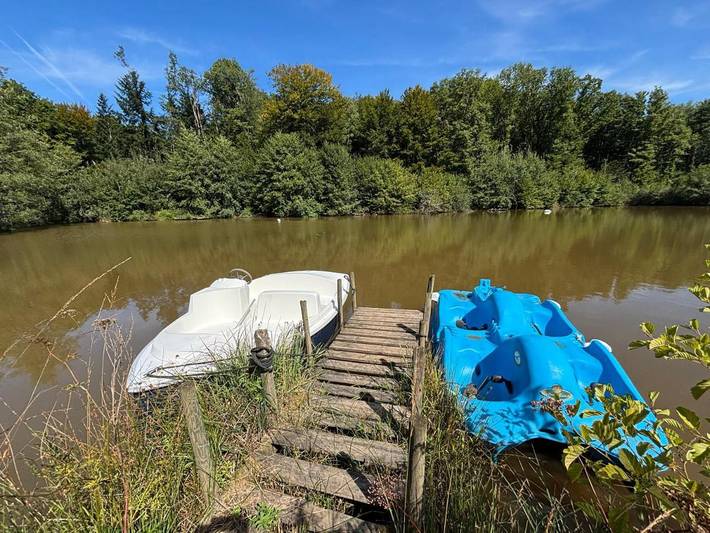 Ferienhaus für 4 Personen, mit Terrasse und Ausblick sowie Seeblick und Garten in Franche-Comté - 4