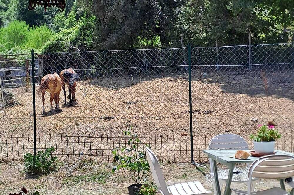 Double room with private bathroom and small exclusive garden in Narni, Terni Province