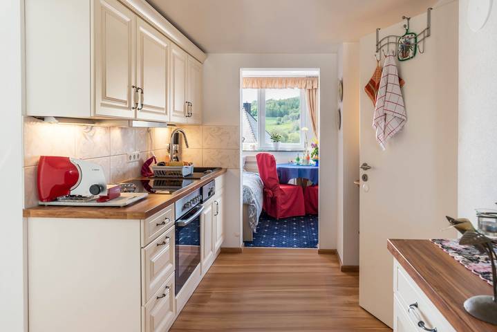 Ferienwohnung für 4 Personen, mit Garten und Whirlpool sowie Sauna, kinderfreundlich in Stockach - 3