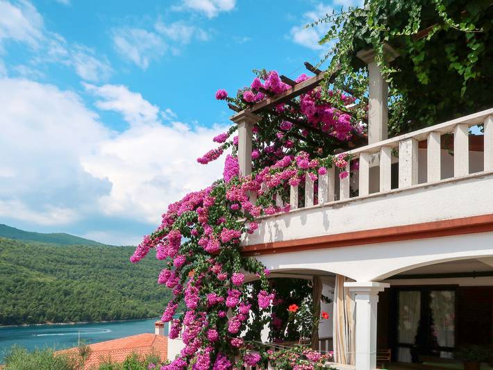 Ferienwohnung für 4 Personen, mit Terrasse - 1