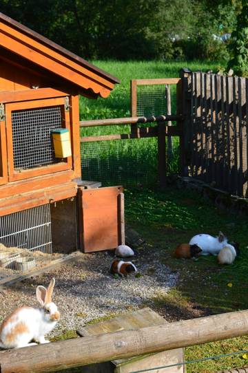 Ferienhaus für 4 Personen in Göllstock, Berchtesgaden, Bild 4