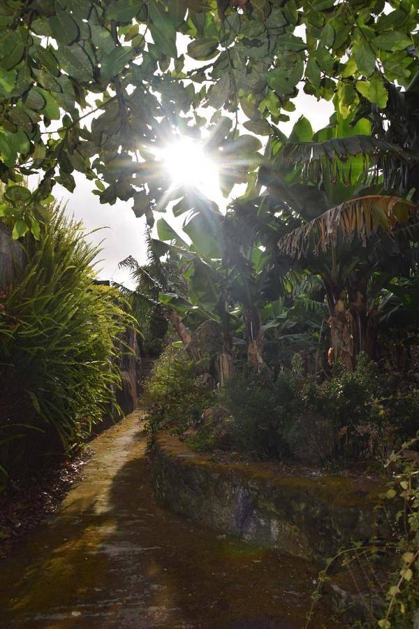 Maison d’hôte pour 2 personnes, avec jardin à Angra do Heroísmo