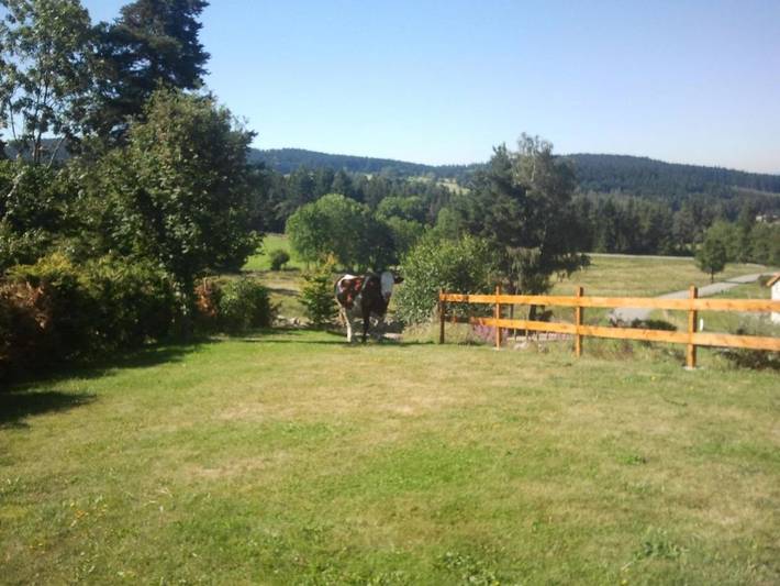 Appartement de vacances pour 4 personnes, avec Terrasse ainsi que Jardin et Vue