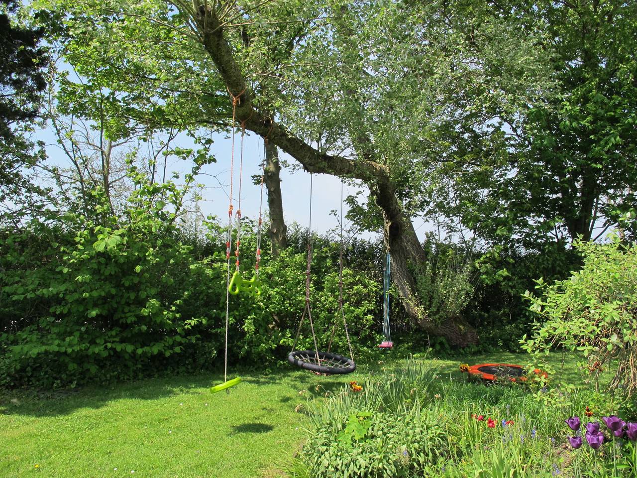 Bild 1