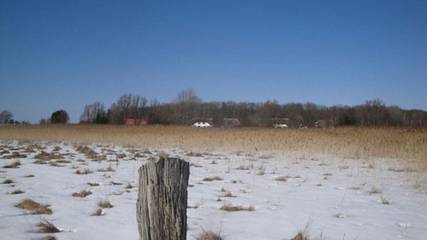 Ferienhaus für 14 Personen in Dreschvitz, Nationalpark Vorpommersche Boddenlandschaft, Bild 2