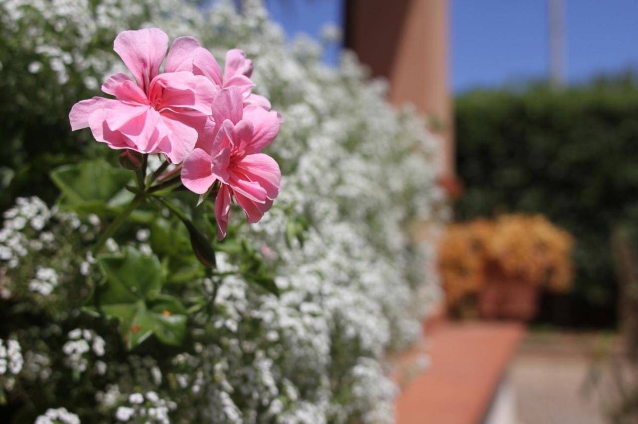 Three-Bedroom Villa in Mondello, Palermo