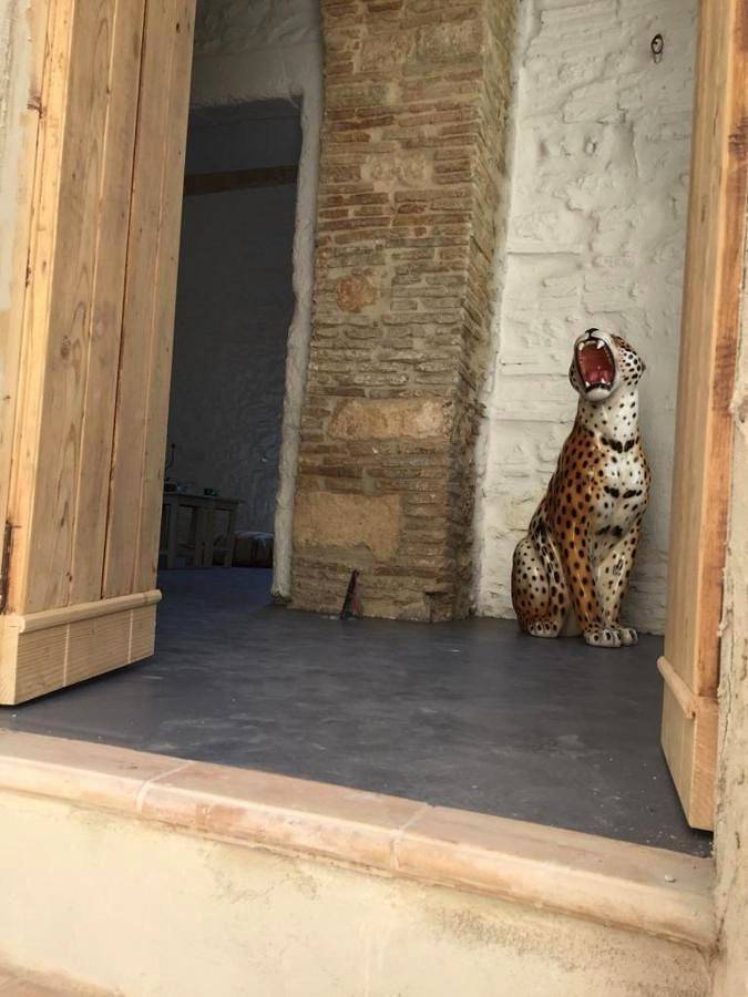 Location de vacances pour 6 personnes, avec terrasse et vue à Irsina - 4