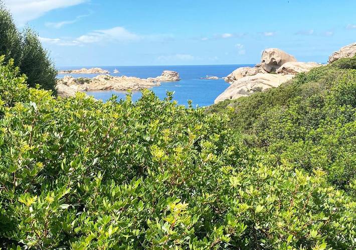 Villa pour 6 personnes, avec jardin et vue dans La Maddalena - 2