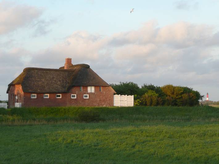 Ferienhaus für 3 Personen, mit Terrasse und Garten, mit Haustier in Pellworm - 4