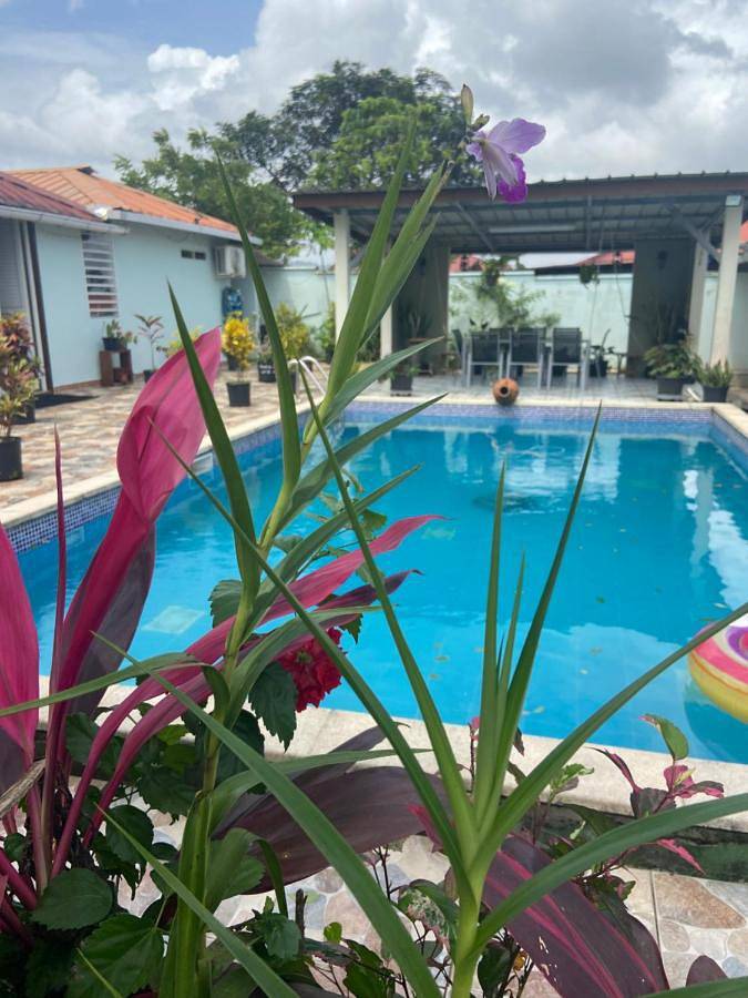 Appartement de vacances pour 2 personnes, avec piscine et jardin