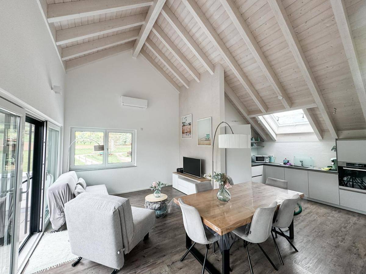 Appartement entier, Wunderschöne helle Wohnung mit großer Dachterrasse in Gottmadingen, Hegau
