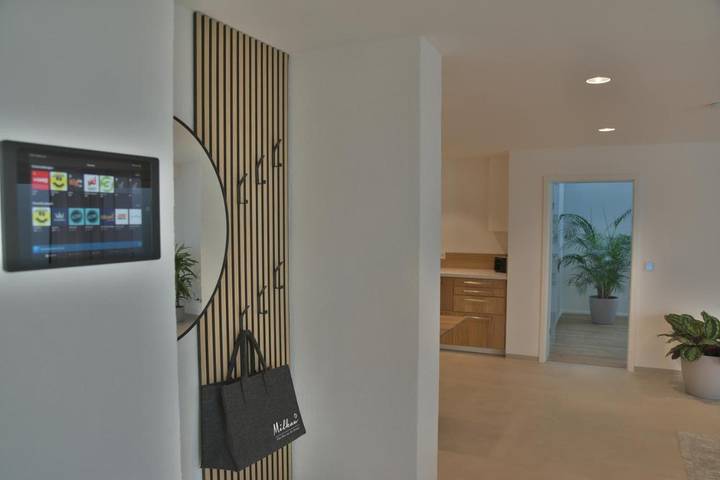 Gîte pour 3 personnes, avec terrasse à Geisingen - 3