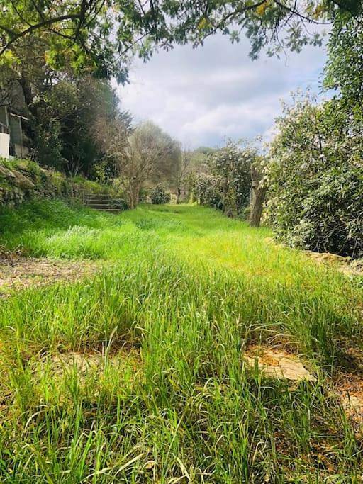 Villa pour 6 personnes, avec piscine ainsi que jardin et vue à Saint-Cyr-sur-Mer - 3