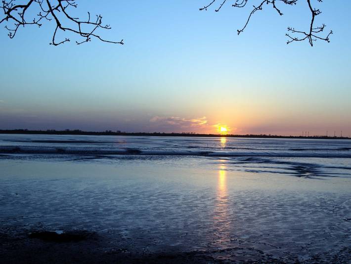 Ferienhaus für 5 Personen, mit Terrasse in Dangast - 4