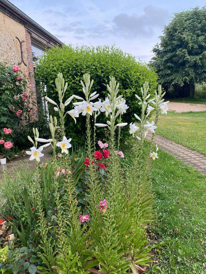 Location de vacances pour 4 personnes, avec jardin et vue dans Charny-Orée-de-Puisaye - 2