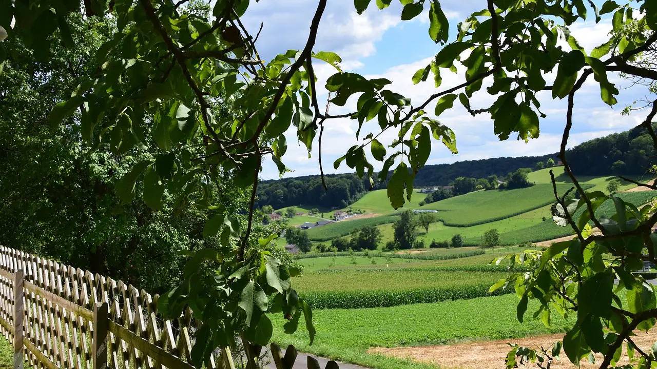 Ferienhaus für 5 Personen (60 m²) in Gnas in Südoststeiermark, Gnas