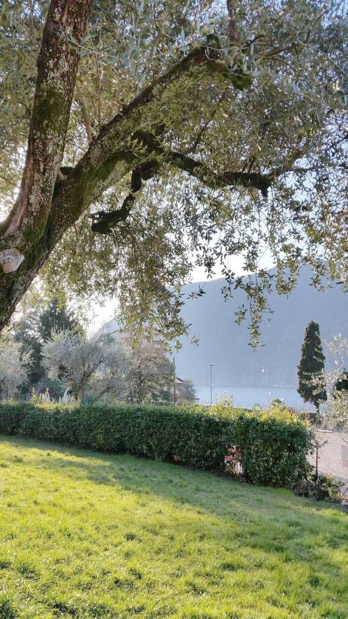 Bed and Breakfast für 8 Personen, mit Ausblick und Seeblick sowie Garten, mit Haustier - 1