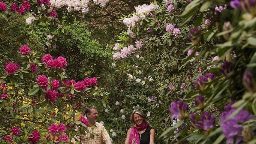 Ferienwohnung für 5 Personen in Westerstede - 4