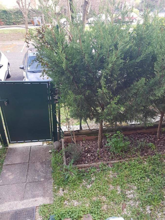 Appartement entier, Apartment - Ground Floor in Toulouse, Toulouse et ses environs
