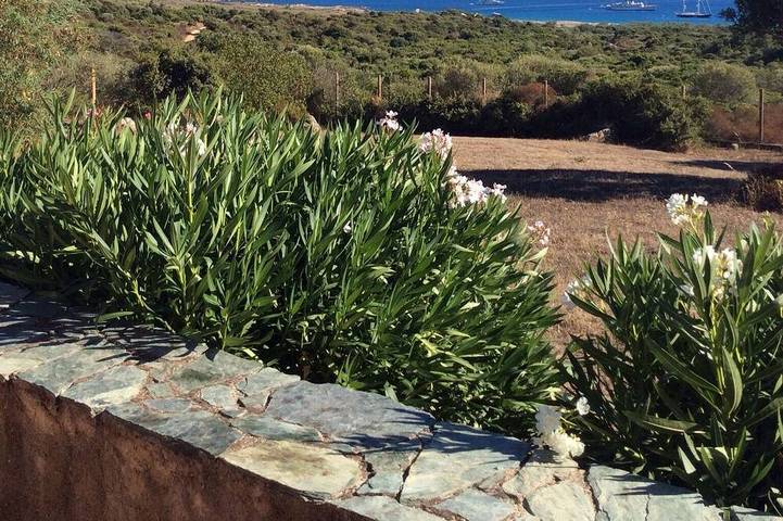 Gîte pour 12 personnes, avec jardin dans Plage de Tradicettu