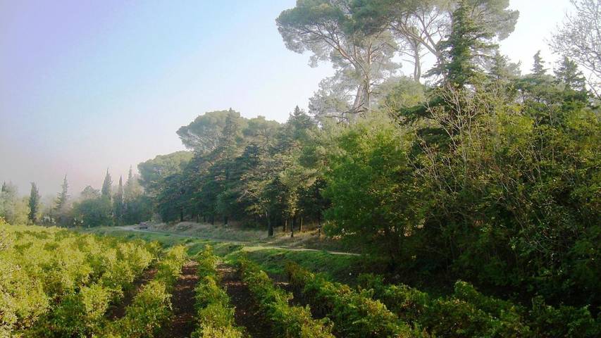 Gîte pour 5 personnes, avec jardin à Narbonne - 3