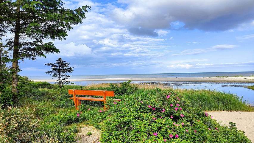 Ferienhaus für 7 Personen, mit Garten in Binderup Strand - 3