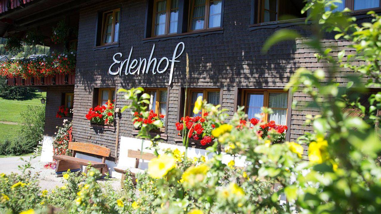 Ganze Ferienwohnung, Ferienwohnung für 4 Personen (38 m²) in Todtnau in Suedlicher Schwarzwald, Todtnau