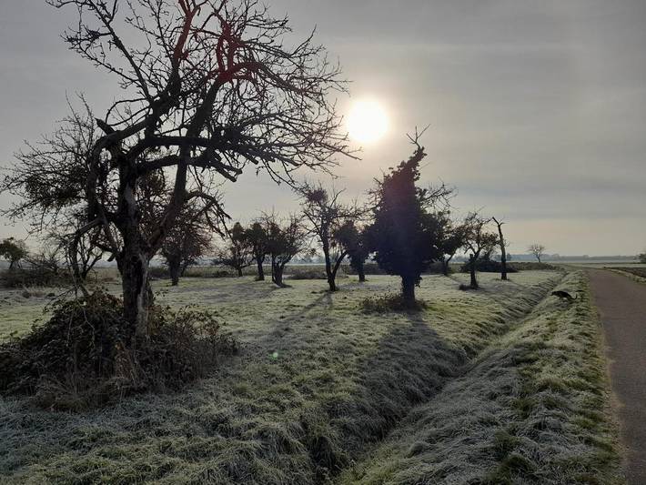 Location de vacances pour 3 personnes, avec vue et jardin, animaux acceptés à Rheinau - 4