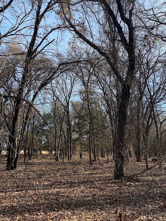 Texoma Getaway - Tiny House on a Cannabis Farm in Lake Texoma