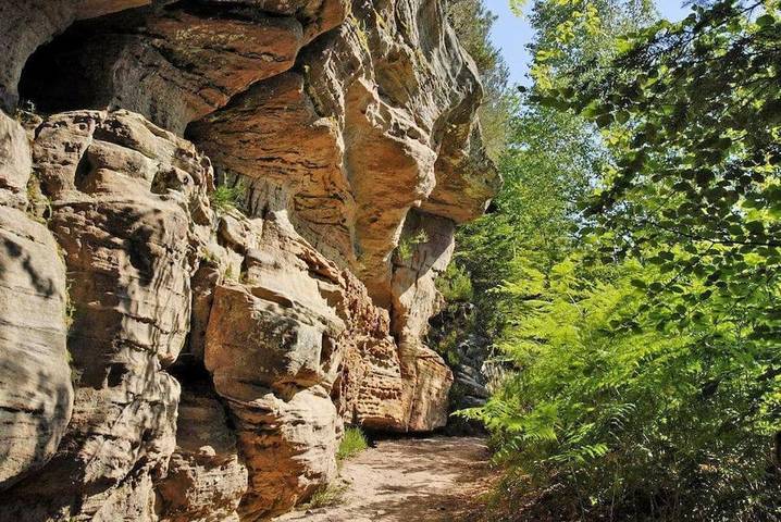 Villa pour 15 personnes, avec jardin et vue dans les Vosges - 4