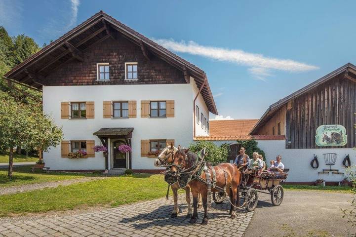 Bauernhof für 4 Personen, mit Garten und Balkon, kinderfreundlich im Bayerischer Wald - 2