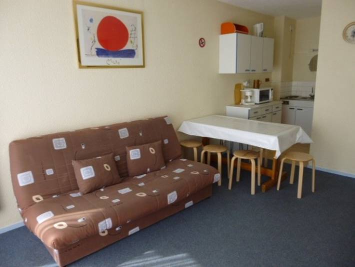 Apartamento entero, Apto 6 pers con balcón vista pistas, acceso directo, aparcamiento gratis in La Pierre Saint-Martin, Arette