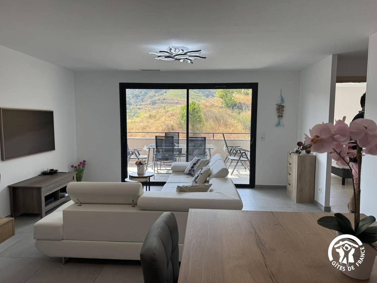 Gîte Neuf Superbe Vue Mer et Vignes Collioure in Côte Vermeille, Collioure