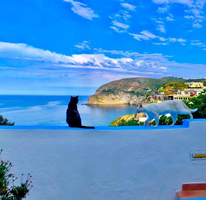 Chambre d’hôte pour 2 personnes, avec terrasse et vue dans Ischia - 2