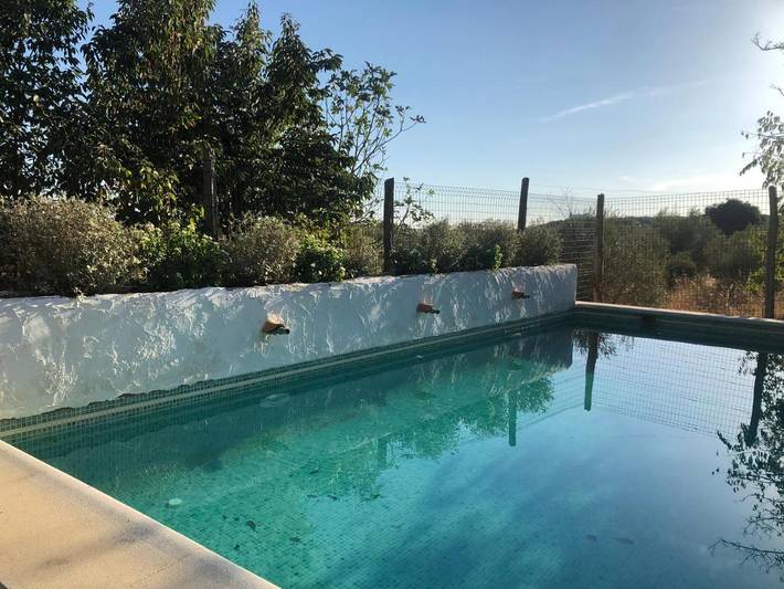 Casa rural para 6 personas, con jardín además de piscina y vistas en Almodóvar del Río - 4