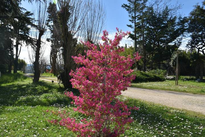 Chambre d’hôte pour 2 personnes, avec jardin et piscine dans la Drôme - 4