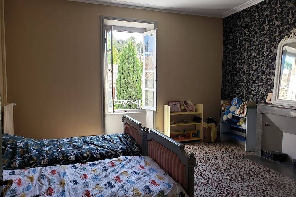 Large family house in a 19th century Hôtel Particulier in Donzère, Région de nyons