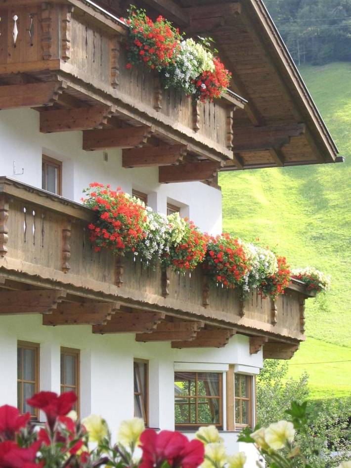 Ferienwohnung für 5 Personen, mit Ausblick und Garten, mit Haustier - 1