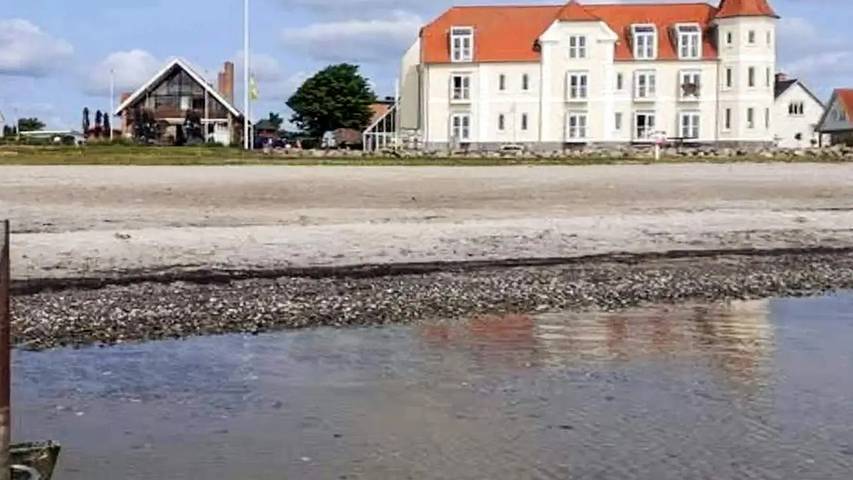 Ferienhaus für 7 Personen, mit Pool und Whirlpool sowie Terrasse und Sauna in Hejlsminde - 4