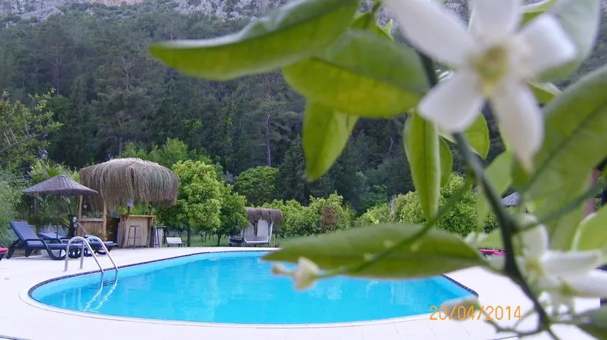 Albergue para 2 personas, con vistas además de jardín y piscina - 1