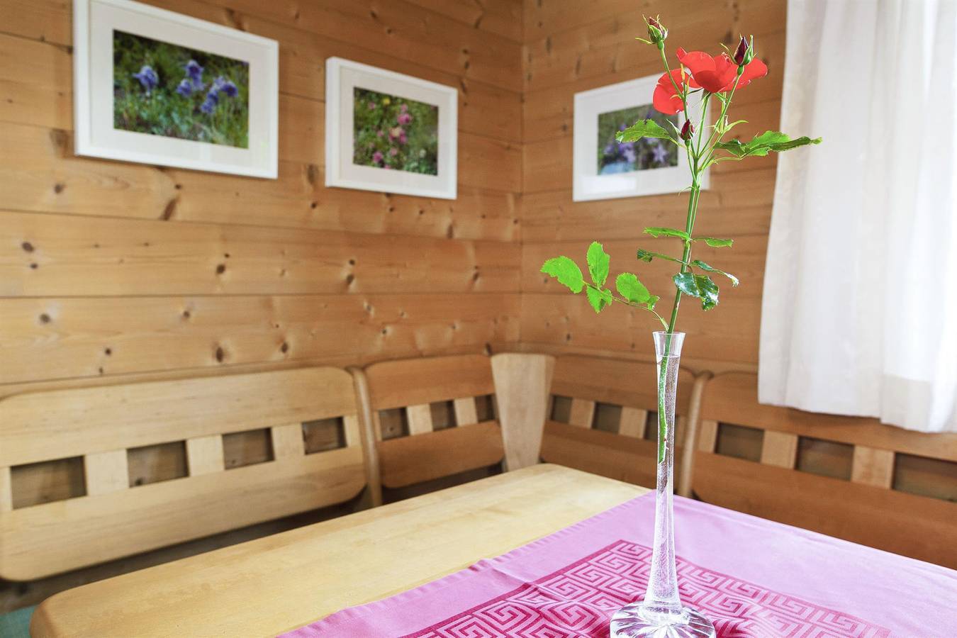 Ganze Ferienwohnung, Holz-Bio-Appartement Dachstein mit Infrarotsauna in Ramsau am Dachstein, Schladming-Dachstein