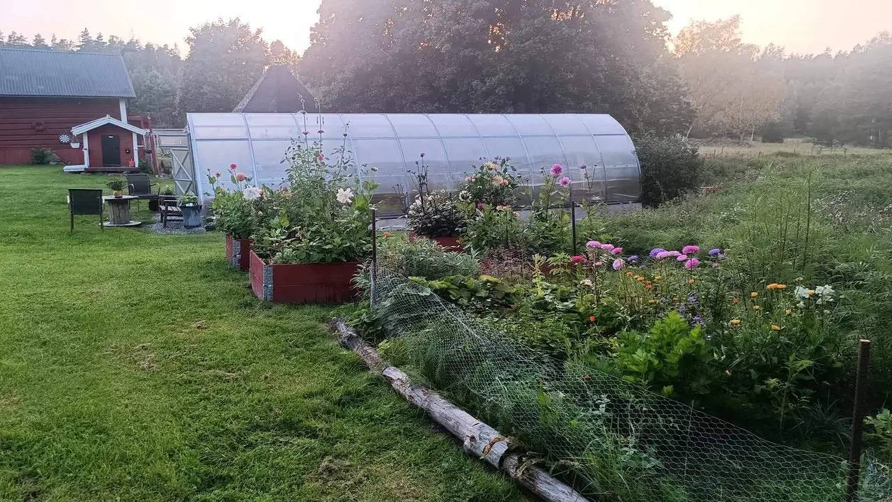 Ferienhaus für 4 Personen (30 m²) in Nykvarn in Schwedische Ostsee