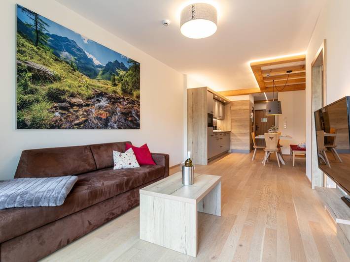 Ganze Wohnung, Wohnung mit Sauna und Süd-West-Terrasse in Haus, Schladming-Dachstein