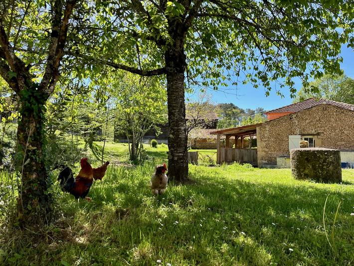 Gîte pour 2 personnes, avec jacuzzi à Capdrot