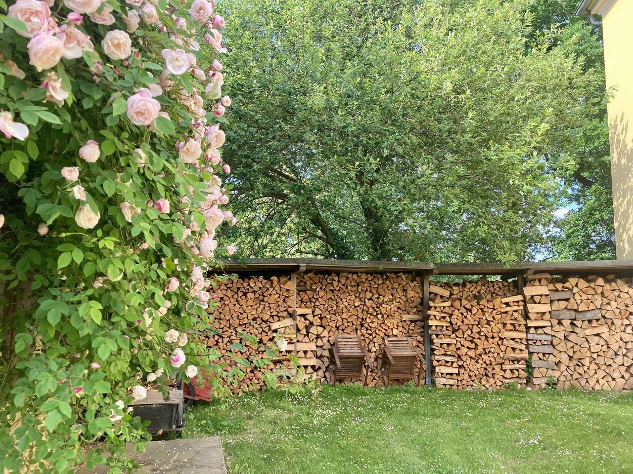 Rosencottage - Rosencottage 100.1 in Falkenhain, Lossatal