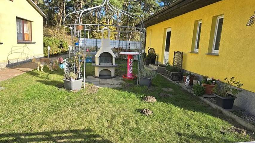 Bungalow für 3 Personen, mit Terrasse in Trassenheide - 2