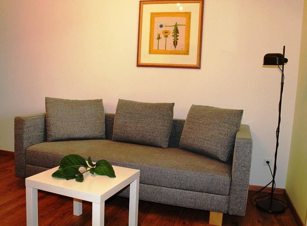 Ganze Ferienwohnung, Ferienwohnung für 3 Personen mit Terrasse in Gols, Neusiedlersee-Hügelland